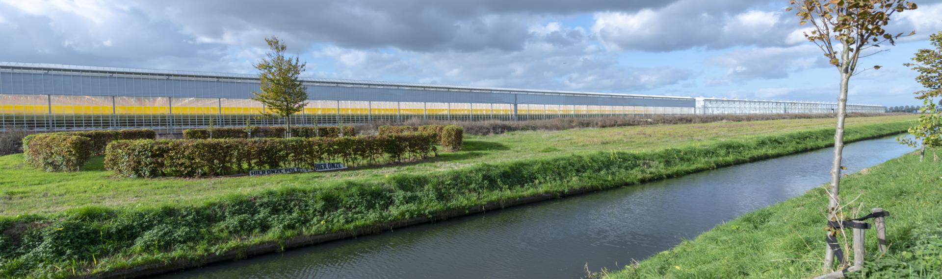 Kassen aan de Bennebroekerweg bij Rijsenhout