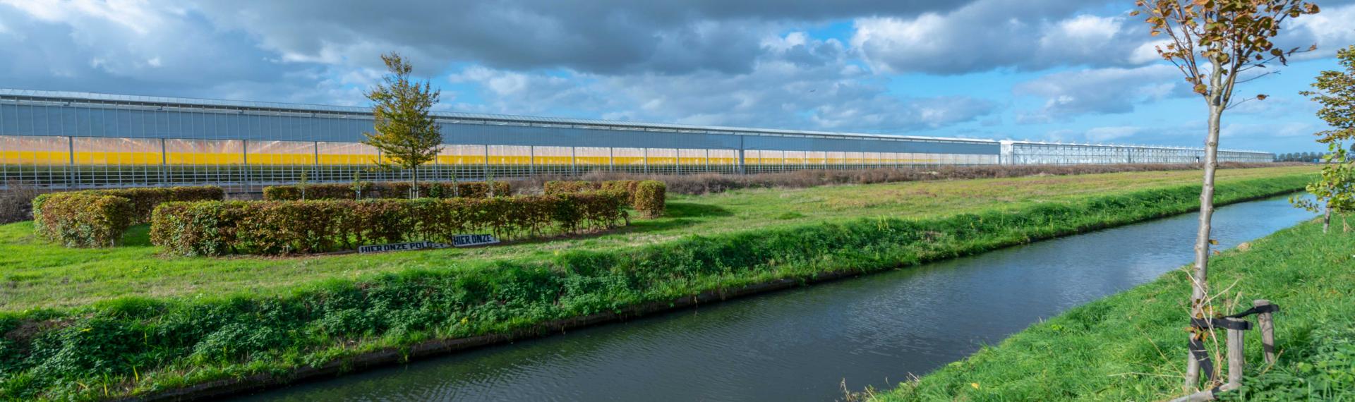 Kassen aan de Bennebroekerweg bij Rijsenhout