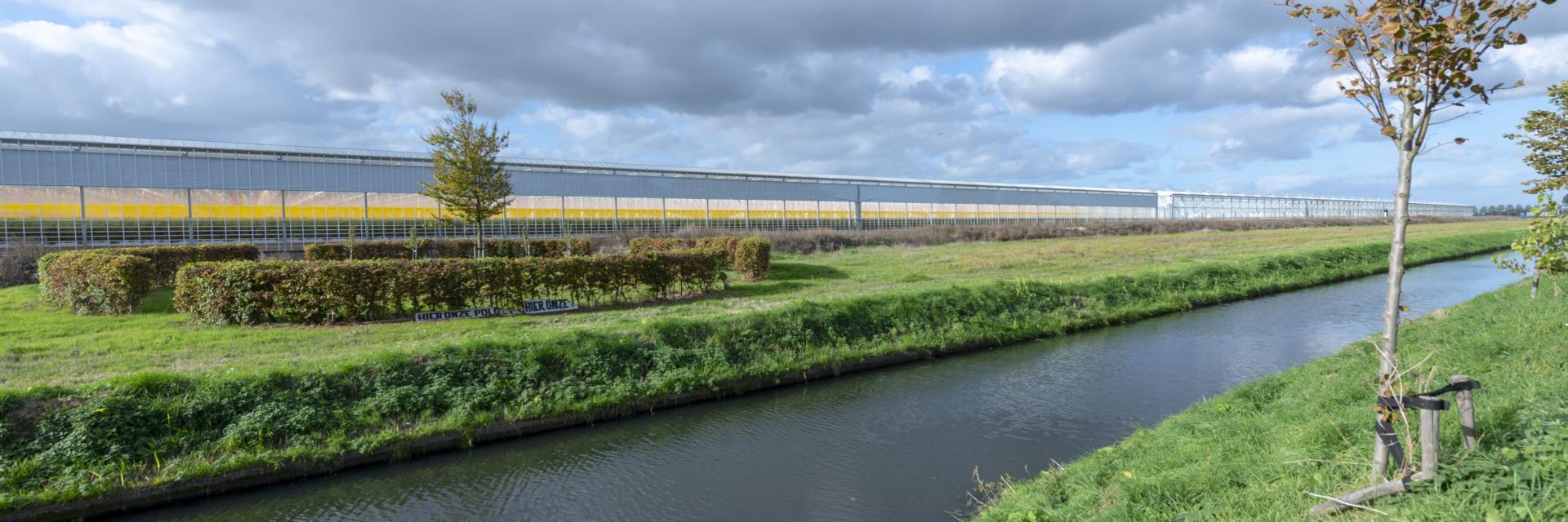 Kassen aan de Bennebroekerweg bij Rijsenhout