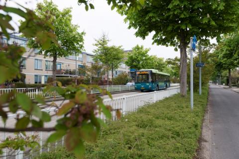 busbaan in Overbos (foto: Margo Oosterveen)