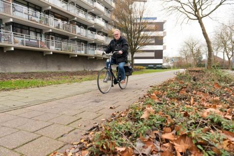 fietspad aan de Kalslagerring (foto: Margo Oosterveen)