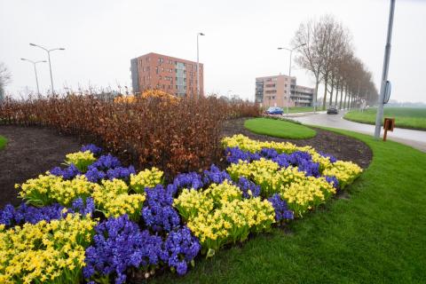 rotonde Lisserbroek (foto: Jur Engelchor)