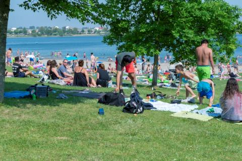 Een zomerse dag in recreatiegebied aan Toolenburgerplas (foto: Margo Oosterveen)